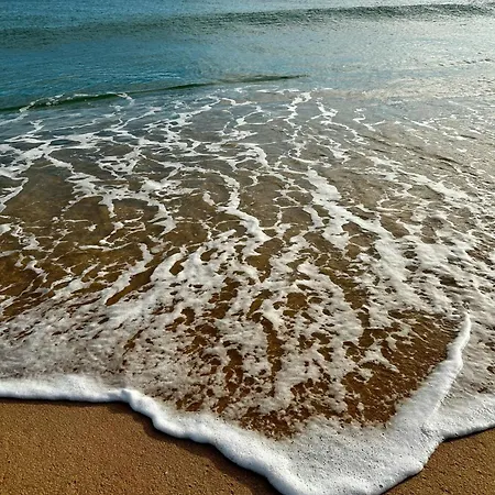 Prázdninový dům Portuguesa By Mtphomes