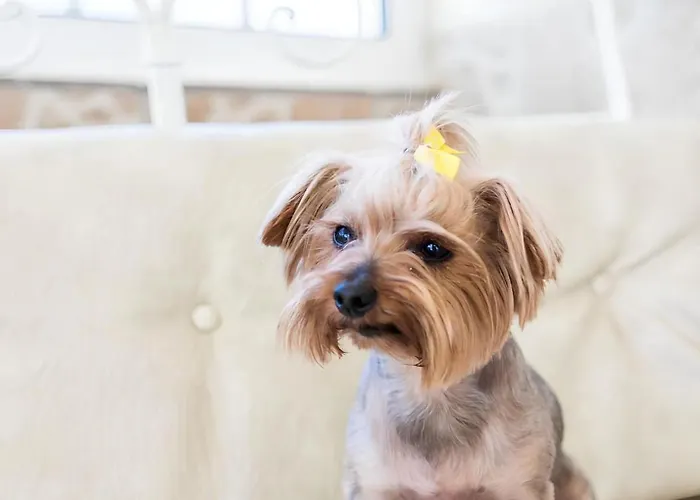 Portuguesa By Mtphomes Дом отдыха Албуфейра