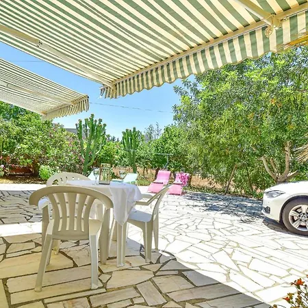 Portuguesa By Mtphomes