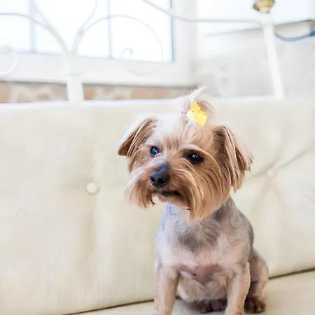 Ferienhaus Portuguesa By Mtphomes *